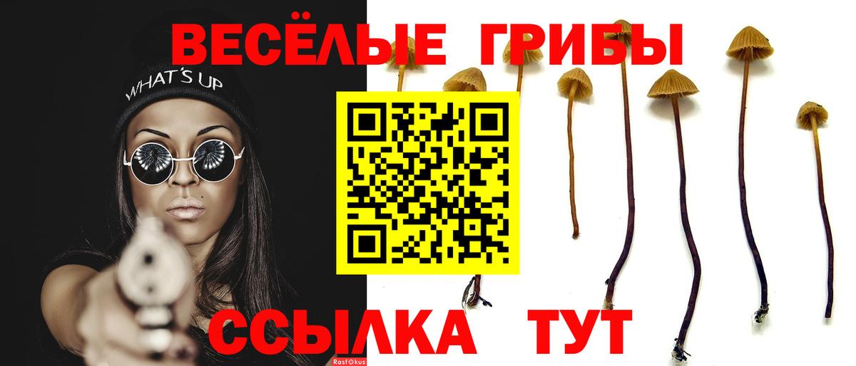 Курганинск  Галлюциногенные грибы прущие грибы  Вход с VPN 